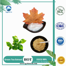 Grüner Teeextrakt Polyphenol 98% EGCG 40% Catechine